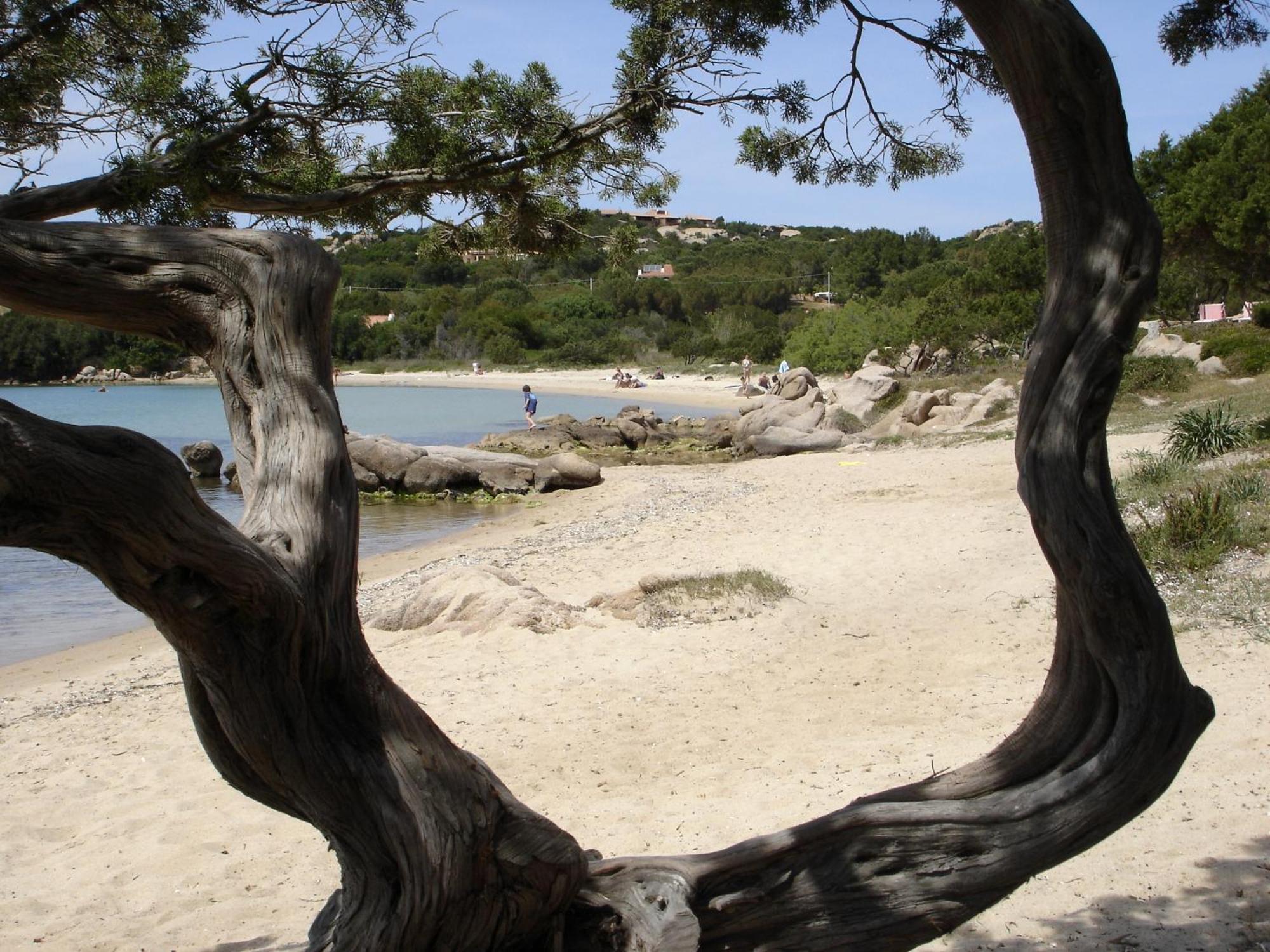 Hotel Villa Gemella Baia Sardinia Exteriér fotografie